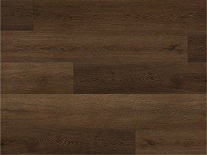 Paradigm Conquest Camelot 9 x 72